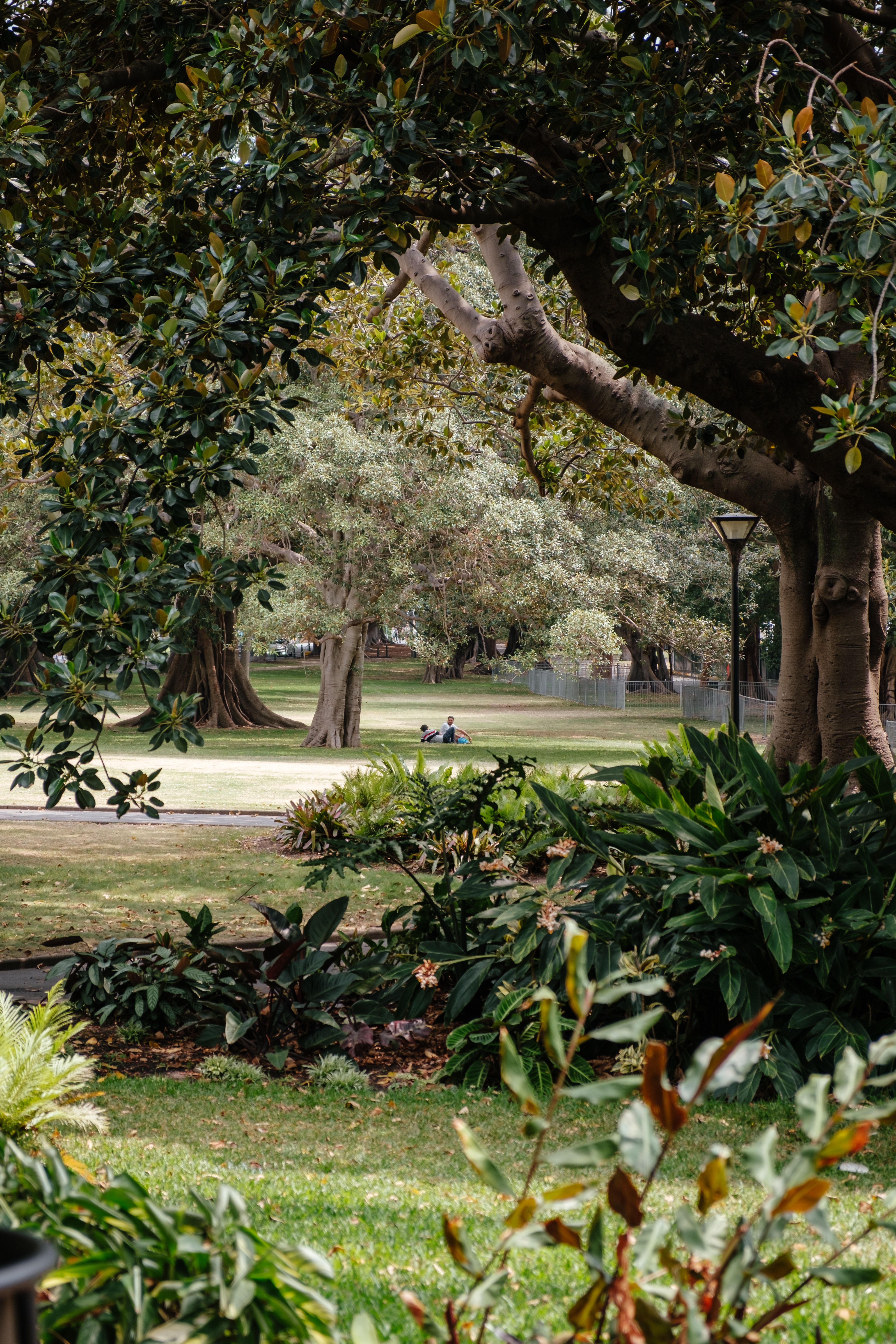 royal-botanic-gardens